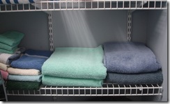 Wire Sheling with Towels