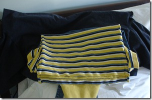 Shirts to Hang During Folding