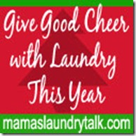 Christmas at Mama’s: Detergent for the Hunter in Your Life