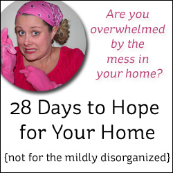 Take Control: 28 Days to Hope for Your Home